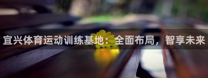 即嗨体育