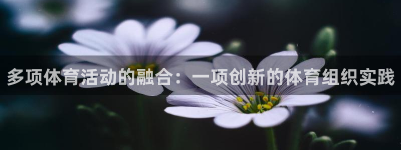 即嗨体育app下载